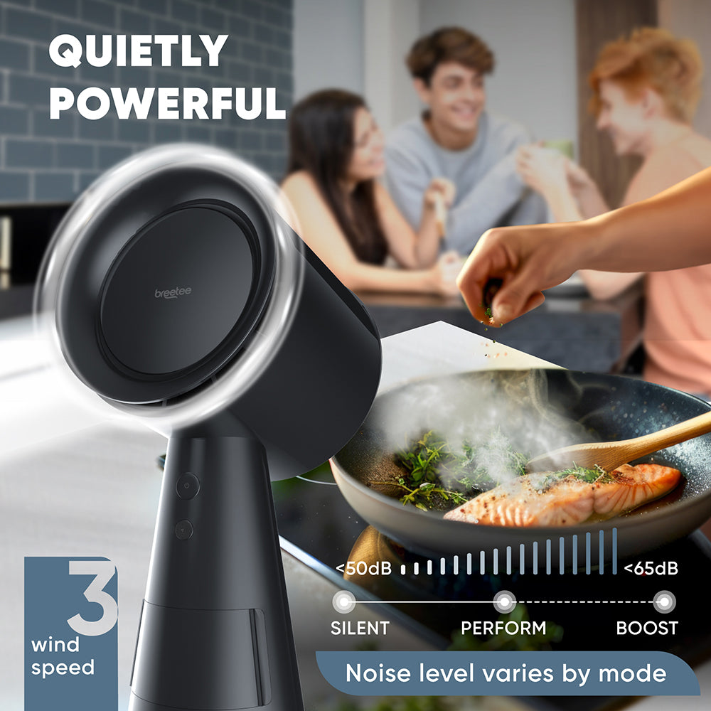 Breetee Portable Range Hood Black